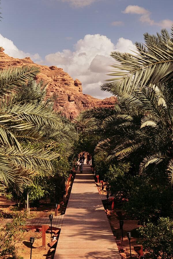 العُلا: جولة مسار الواحة التراثي