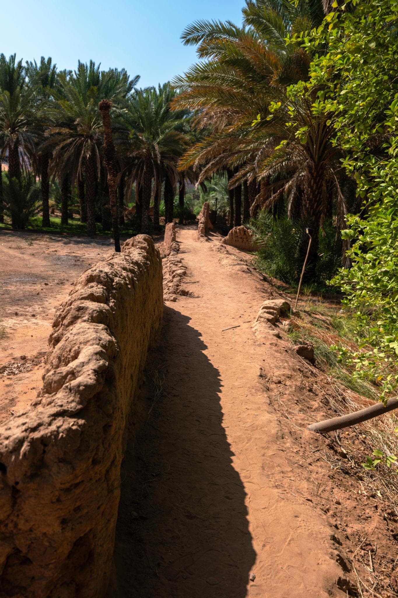 العُلا: جولة مسار الواحة التراثي